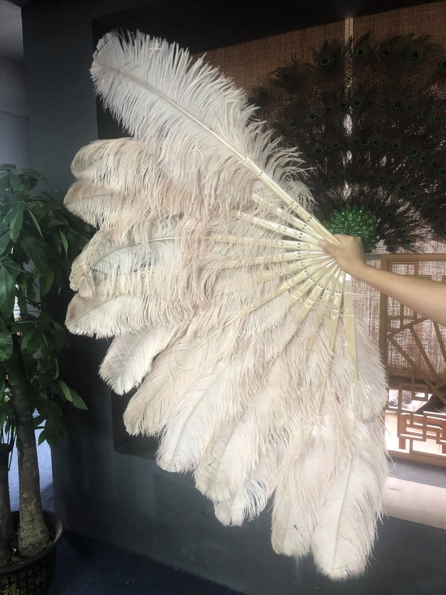 Beige camel intermediate 2 layers Ostrich Feather Fan 30"x 54"