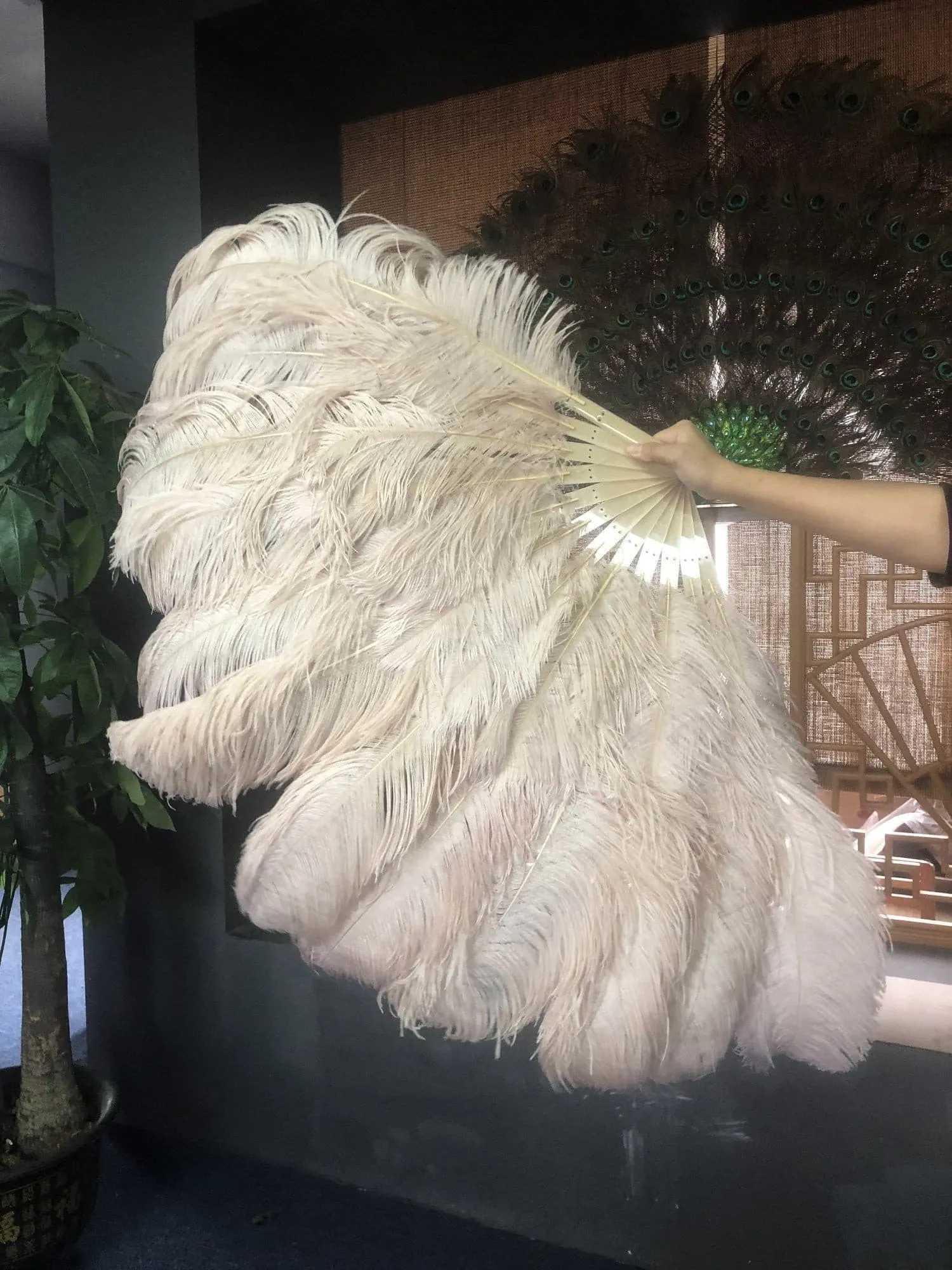 Beige camel intermediate 2 layers Ostrich Feather Fan 30"x 54"